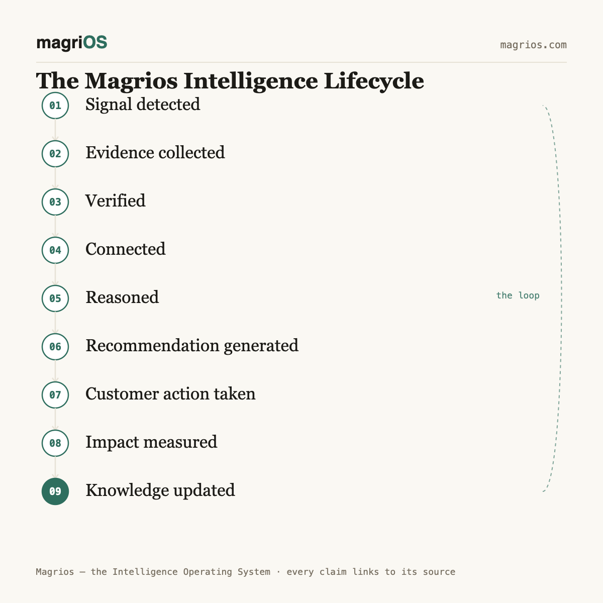 The Magrios Intelligence Lifecycle — nine-stage diagram of the Magrios Intelligence Operating System: signal detected, evidence collected, verified, connected, reasoned, recommendation generated, customer action taken, impact measured, knowledge updated